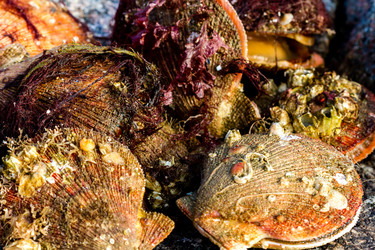 Similar image 21349913