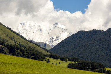 Similar image 21349919