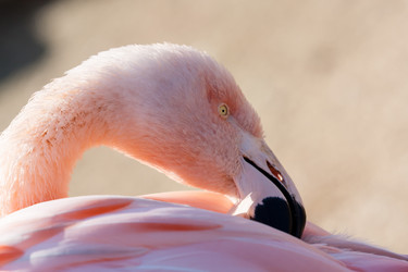 Similar image 21349923