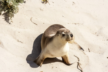 Similar image 21349926