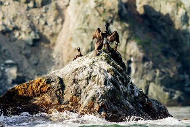 Similar image 21349928