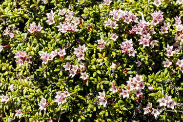 Similar image 21349929