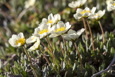 Similar image 21349930