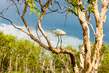 Similar image 21349933