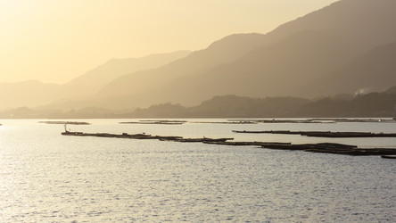 Similar image 21349956