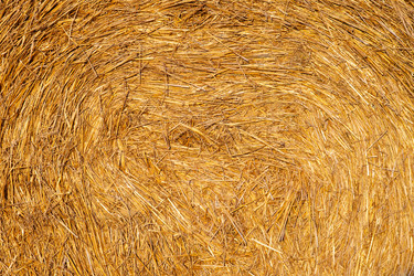 Similar image 21349999