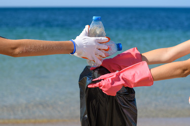 Similar image 21350682