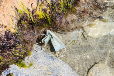 Similar image 21353778