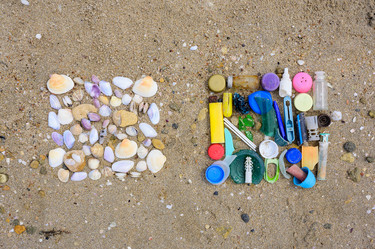 Similar image 21355493