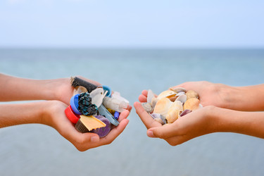 Similar image 21355494