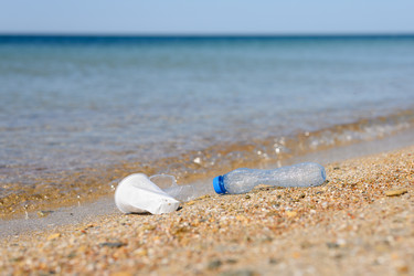 Similar image 21355495