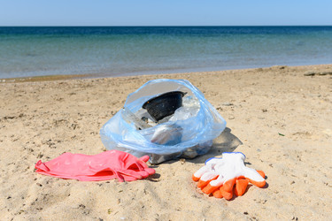 Similar image 21355496