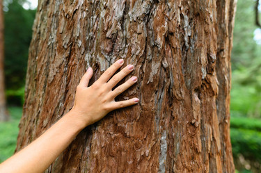 Similar image 21350684