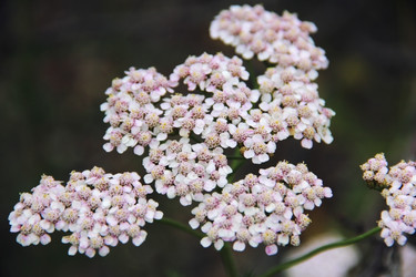 Similar image 21369577