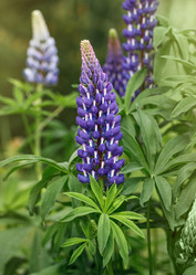 Similar image 21369582