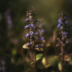 Similar image 21369586