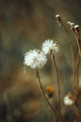 Similar image 21369587