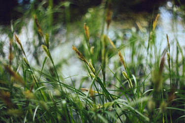 Similar image 21369590