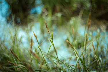 Similar image 21369591