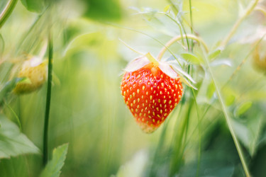 Similar image 21369598