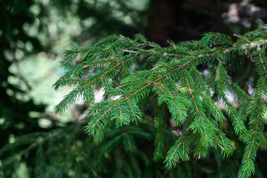 Similar image 21369604