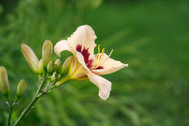 Similar image 21369605