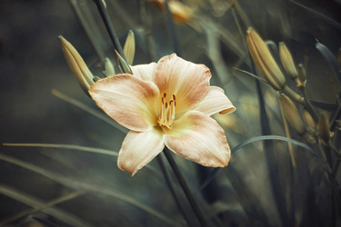 Similar image 21369612