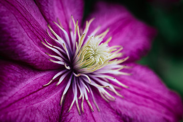 Similar image 21369615