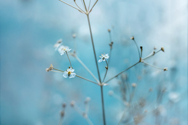 Similar image 21369618