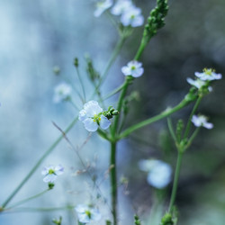 Similar image 21369619