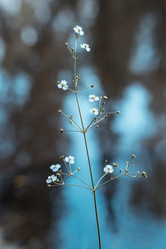 Similar image 21369620