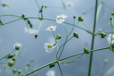 Similar image 21369622