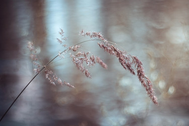 Similar image 21369624