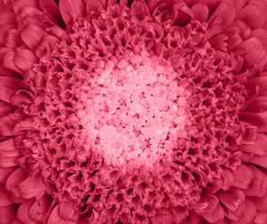 Similar image 21369628