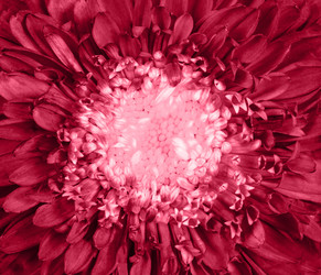 Similar image 21369630