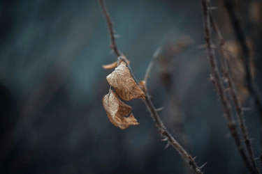 Similar image 21369742