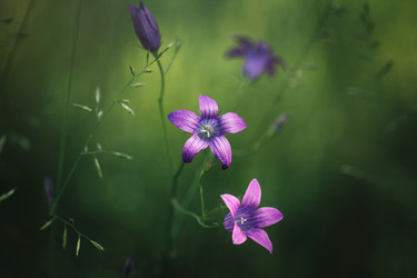 Similar image 21369747