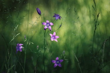 Similar image 21369749