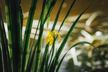 Similar image 21369750