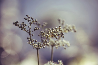 Similar image 21369752