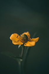 Similar image 21369757