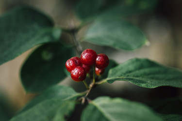 Similar image 21356557