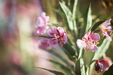 Similar image 21356560