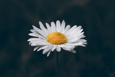 Similar image 21356564