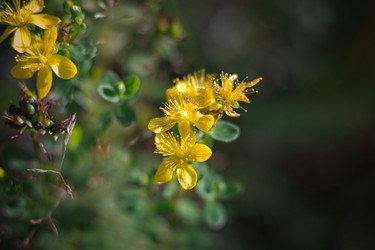 Similar image 21356565