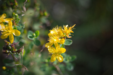 Similar image 21356566