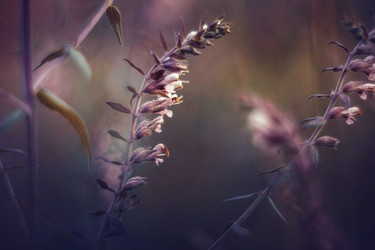 Similar image 21356567