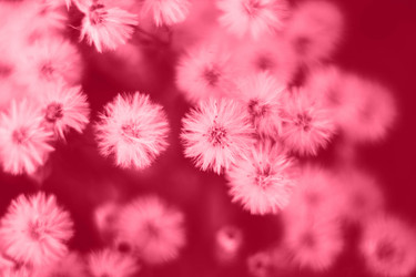 Similar image 21356569