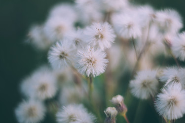 Similar image 21356570