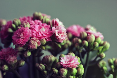 Similar image 21356572